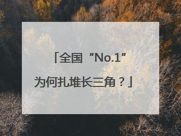 全国“No.1”为何扎堆长三角？
