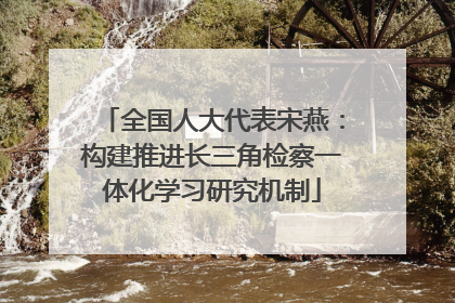 全国人大代表宋燕：构建推进长三角检察一体化学习研究机制