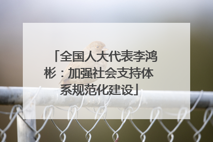 全国人大代表李鸿彬：加强社会支持体系规范化建设