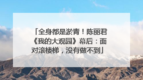 全身都是淤青！陈丽君《我的大观园》幕后：面对滚楼梯，没有做不到