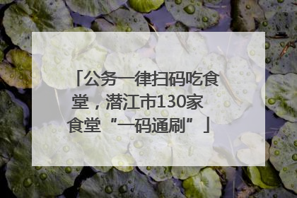 公务一律扫码吃食堂，潜江市130家食堂“一码通刷”