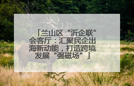 兰山区“沂企联”会客厅：汇聚民企出海新动能，打造跨境发展“强磁场”