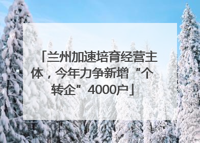 兰州加速培育经营主体，今年力争新增“个转企”4000户