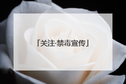 关注·禁毒宣传