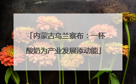 内蒙古乌兰察布：一杯酸奶为产业发展添动能