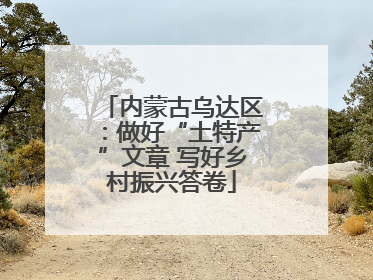 内蒙古乌达区：做好“土特产”文章 写好乡村振兴答卷