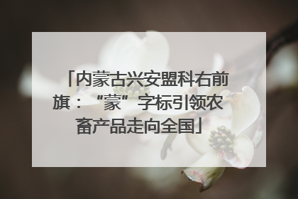 内蒙古兴安盟科右前旗：“蒙”字标引领农畜产品走向全国