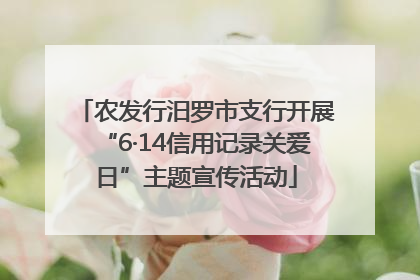 农发行汨罗市支行开展“6·14信用记录关爱日”主题宣传活动
