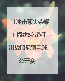 冲击顶尖荣耀！福建3名选手出战印尼羽毛球公开赛