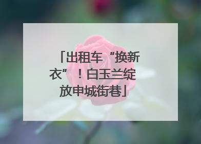出租车“换新衣”！白玉兰绽放申城街巷