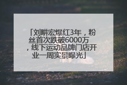 刘畊宏爆红3年，粉丝首次跌破6000万，线下运动品牌门店开业一周实景曝光