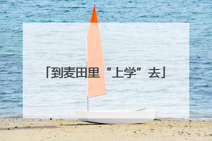到麦田里“上学”去