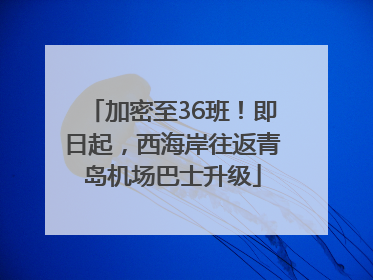 加密至36班！即日起，西海岸往返青岛机场巴士升级