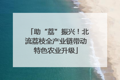 助“荔”振兴！北流荔枝全产业链带动特色农业升级