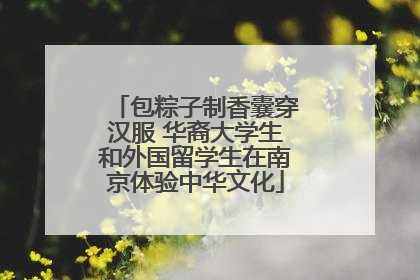 包粽子制香囊穿汉服 华裔大学生和外国留学生在南京体验中华文化