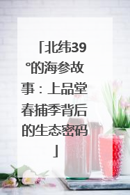 北纬39°的海参故事：上品堂春捕季背后的生态密码