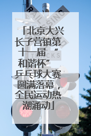 北京大兴长子营镇第十一届 “和谐杯” 乒乓球大赛圆满落幕，全民运动热潮涌动