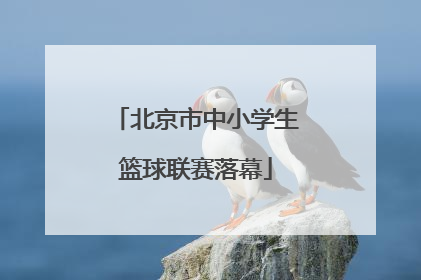 北京市中小学生篮球联赛落幕