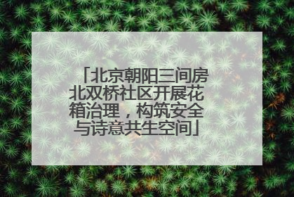 北京朝阳三间房北双桥社区开展花箱治理，构筑安全与诗意共生空间