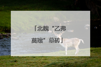 北魏“乙弗莫瓌”墓砖