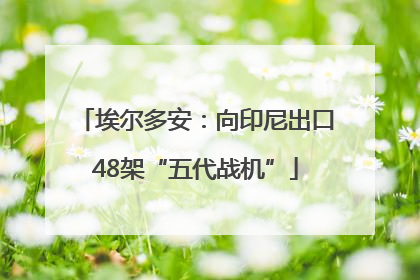 埃尔多安：向印尼出口48架“五代战机”