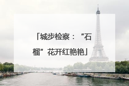 城步检察：“石榴”花开红艳艳