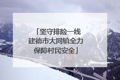 坚守排险一线 建德市大同镇全力保障村民安全