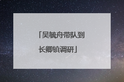 吴毓舟带队到长卿镇调研