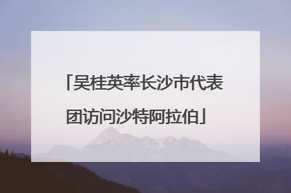吴桂英率长沙市代表团访问沙特阿拉伯
