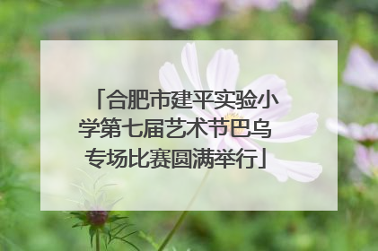 合肥市建平实验小学第七届艺术节巴乌专场比赛圆满举行