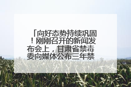 向好态势持续巩固！刚刚召开的新闻发布会上，甘肃省禁毒委向媒体公布三年禁毒工作“成绩单”