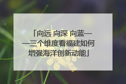 向远 向深 向蓝——三个维度看福建如何增强海洋创新动能