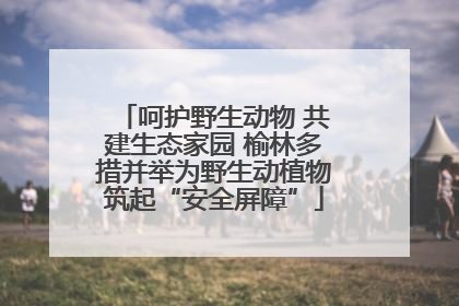呵护野生动物 共建生态家园 榆林多措并举为野生动植物筑起“安全屏障”