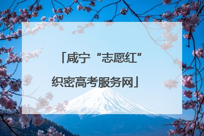 咸宁“志愿红”织密高考服务网