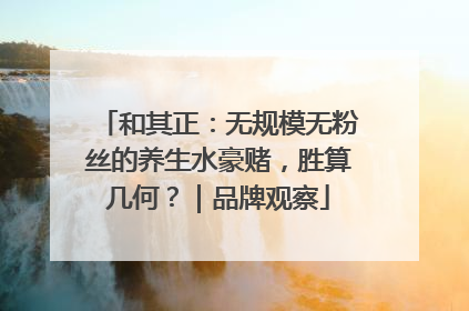 和其正：无规模无粉丝的养生水豪赌，胜算几何？｜品牌观察