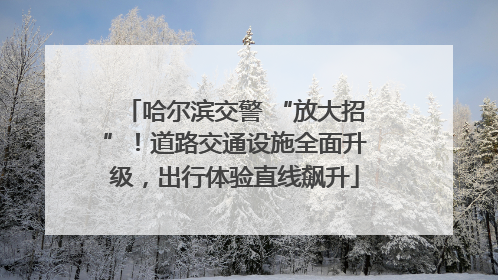 哈尔滨交警 “放大招”！道路交通设施全面升级，出行体验直线飙升