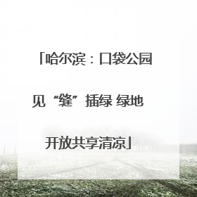 哈尔滨：口袋公园见“缝”插绿 绿地开放共享清凉