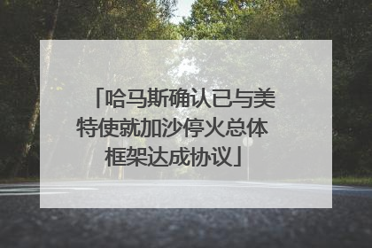哈马斯确认已与美特使就加沙停火总体框架达成协议