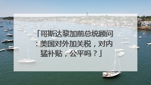 哥斯达黎加前总统顾问：美国对外加关税，对内猛补贴，公平吗？