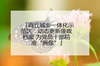 商丘城乡一体化示范区：动态更新廉政档案 为党员干部精准“画像”