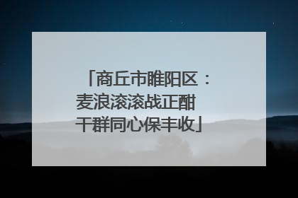 商丘市睢阳区：麦浪滚滚战正酣 干群同心保丰收