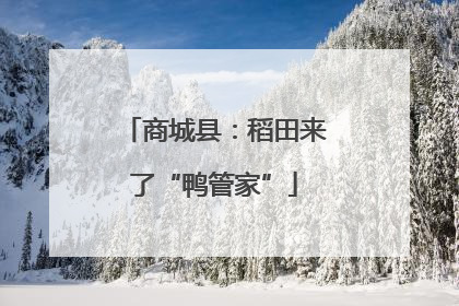 商城县：稻田来了“鸭管家”