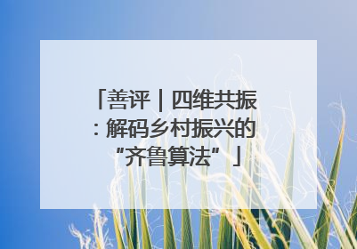 善评｜四维共振：解码乡村振兴的“齐鲁算法”