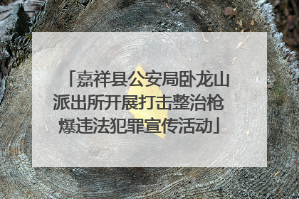 嘉祥县公安局卧龙山派出所开展打击整治枪爆违法犯罪宣传活动