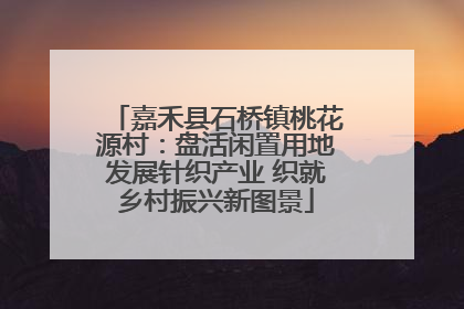 嘉禾县石桥镇桃花源村：盘活闲置用地发展针织产业 织就乡村振兴新图景