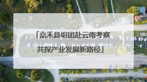 嘉禾县组团赴云南考察 共探产业发展新路径