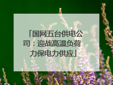 国网五台供电公司：迎战高温负荷 力保电力供应