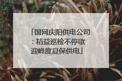 国网庆阳供电公司：精益巡检不停歇 迎峰度夏保供电