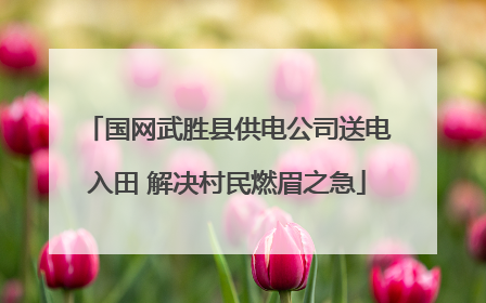 国网武胜县供电公司送电入田 解决村民燃眉之急