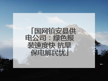 国网镇安县供电公司：绿色报装速度快 抗旱保电解民忧